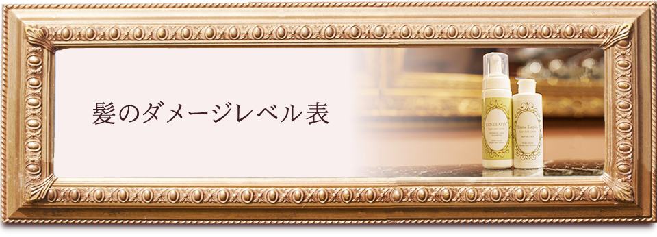 髪のダメージレベル表