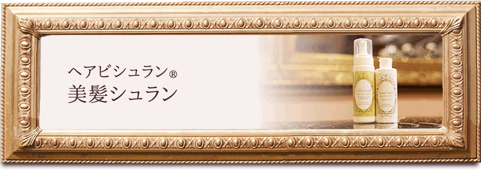 ヘアビシュラン