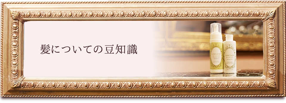 髪についての豆知識